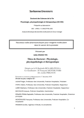 Vignette du fichier