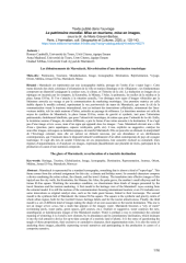 Vignette du fichier