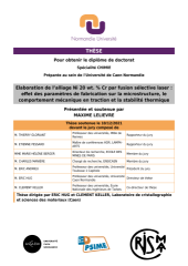 Vignette du fichier