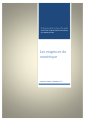 Vignette du fichier