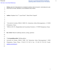 Vignette du fichier
