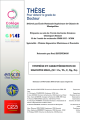 Vignette du fichier