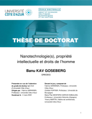 Vignette du fichier