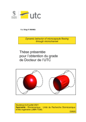 Vignette du fichier