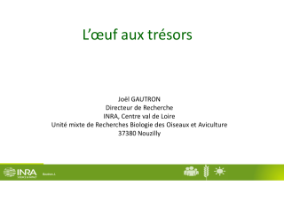 Vignette du fichier