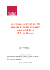 Vignette du fichier