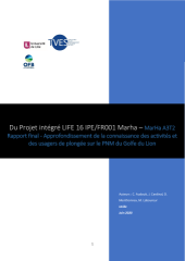 Vignette du fichier