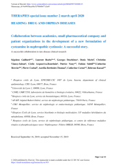 Vignette du fichier