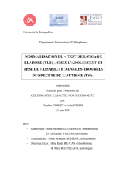 Vignette du fichier