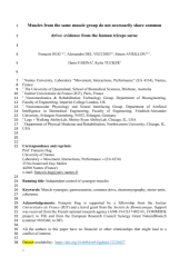 Vignette du fichier