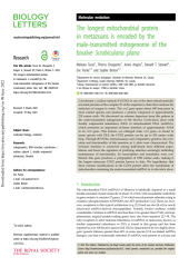 Vignette du fichier