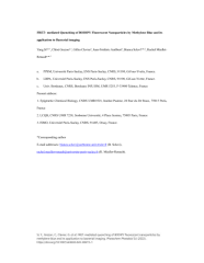 Vignette du fichier