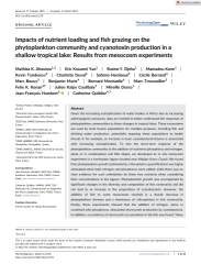 Vignette du fichier