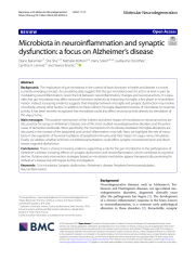 Vignette du fichier