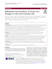 Vignette du fichier
