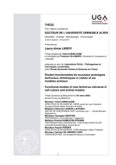 Vignette du fichier