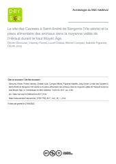 Vignette du fichier
