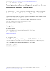 Vignette du fichier