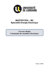 Vignette du fichier