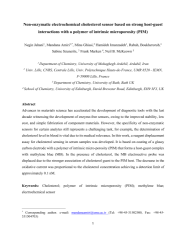 Vignette du fichier