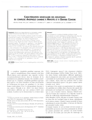Vignette du fichier