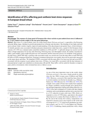 Vignette du fichier