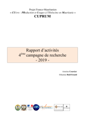 Vignette du fichier