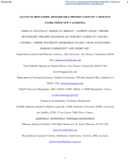 Vignette du fichier