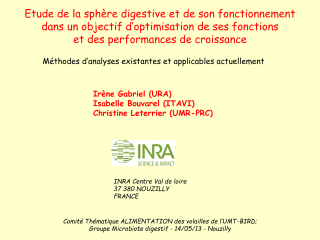 Vignette du fichier
