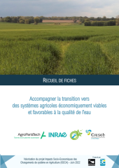 Vignette du fichier