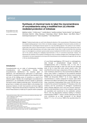 Vignette du fichier