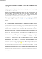 Vignette du fichier