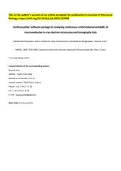 Vignette du fichier