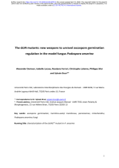 Vignette du fichier