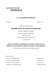 Vignette du fichier