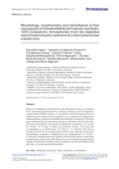 Vignette du fichier