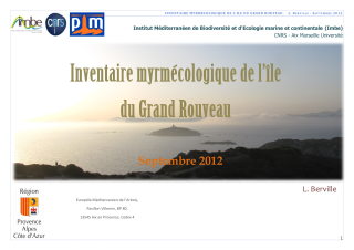 Vignette du fichier