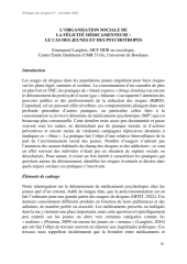 Vignette du fichier