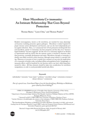 Vignette du fichier