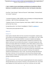 Vignette du fichier