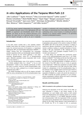 Vignette du fichier