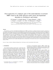 Vignette du fichier