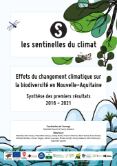 Vignette du fichier
