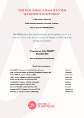 Vignette du fichier