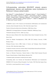 Vignette du fichier