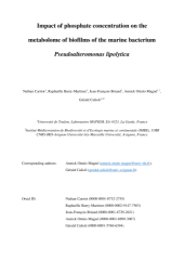 Vignette du fichier