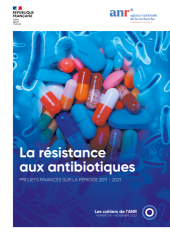 Vignette du fichier
