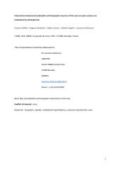 Vignette du fichier