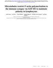 Vignette du fichier