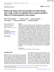 Vignette du fichier